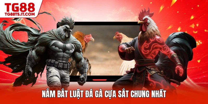 Nắm bắt luật đá gà cựa sắt chung nhất